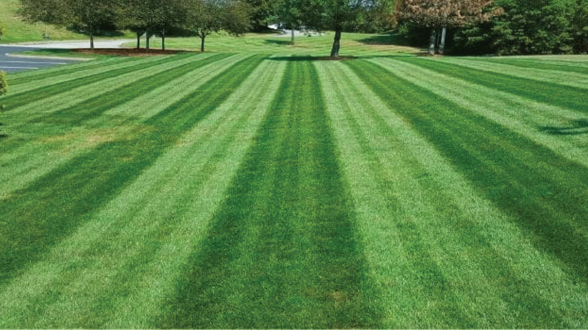 B Franco Landscaping Pic-10